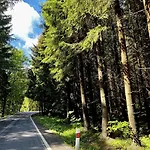Vlasta