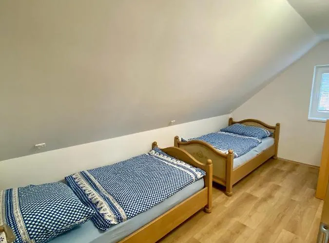 Vlasta *